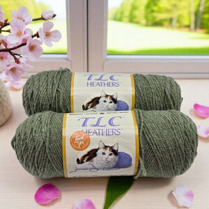 2 Skeins TLC Heathers Acrylic Discontinued Yarn (5oz/260yd ea.) Light Sage #2444